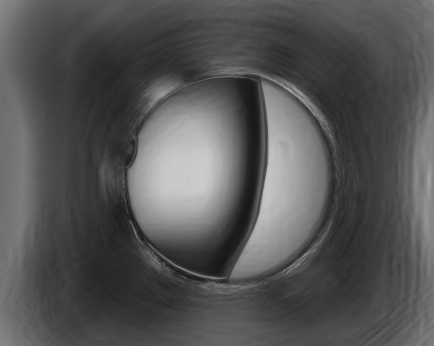 X0000086731289200704130739
