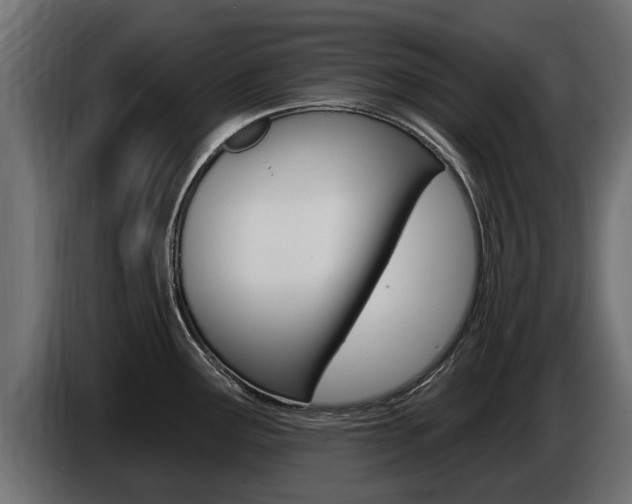 X0000086731291200704130739