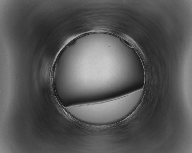 X0000086731292200704130739