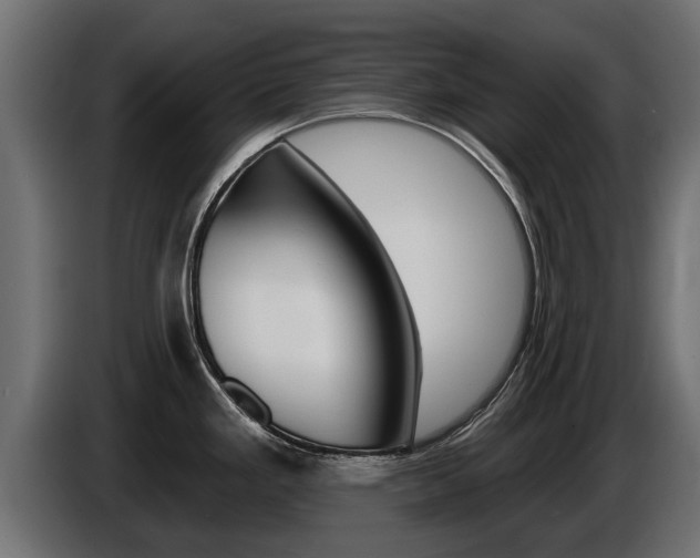 X0000086731293200704130739