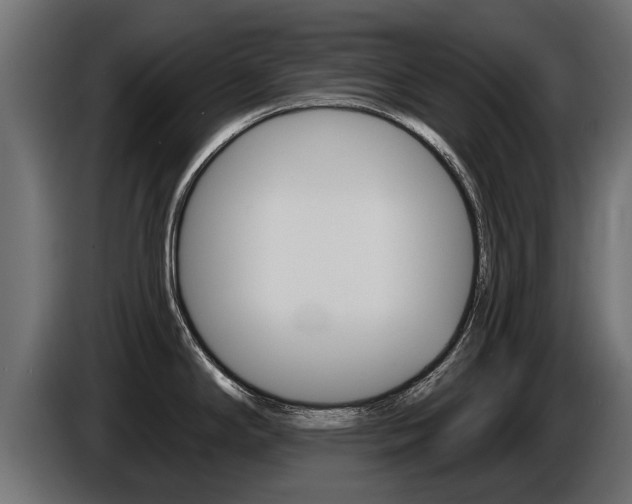 X0000086731294200704130739