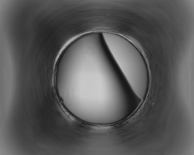 X0000086731296200704130739