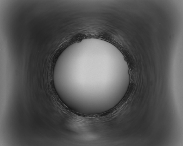 X0000086731297200704130739