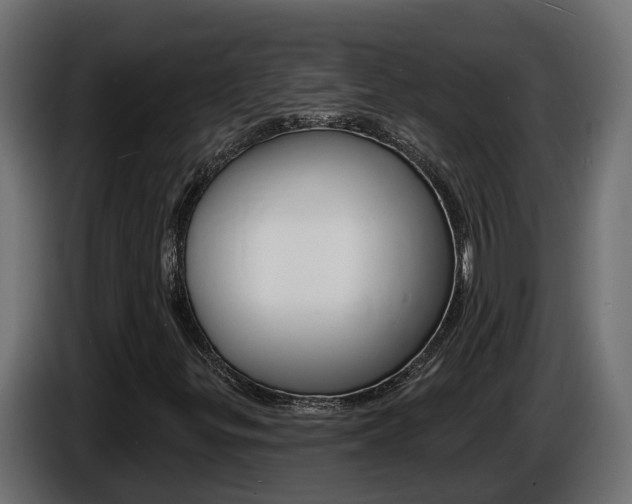 X0000086731299200704130739