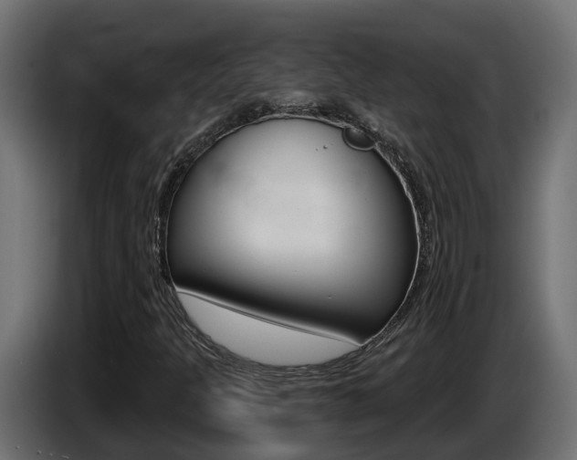 X0000086731301200704130739
