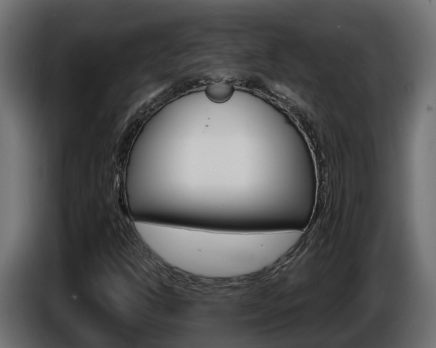 X0000086731302200704130739