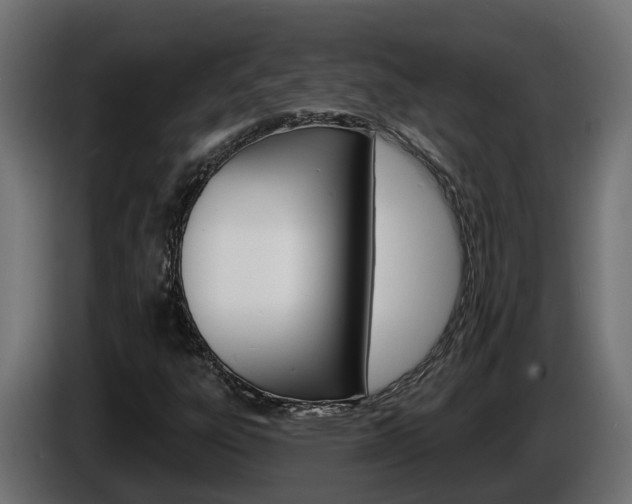X0000086731303200704130739