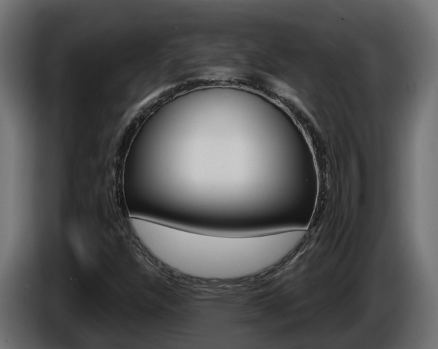 X0000086731304200704130739