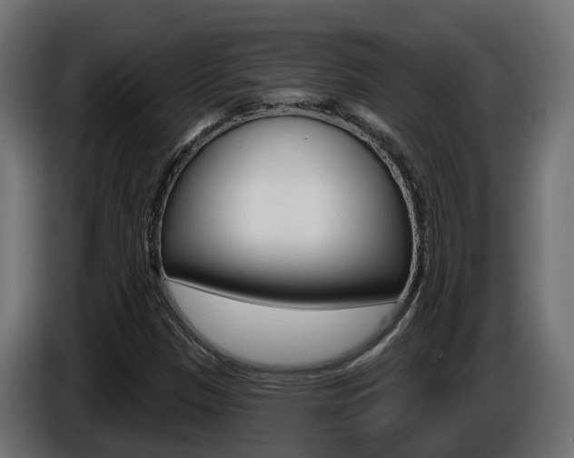 X0000086731305200704130739