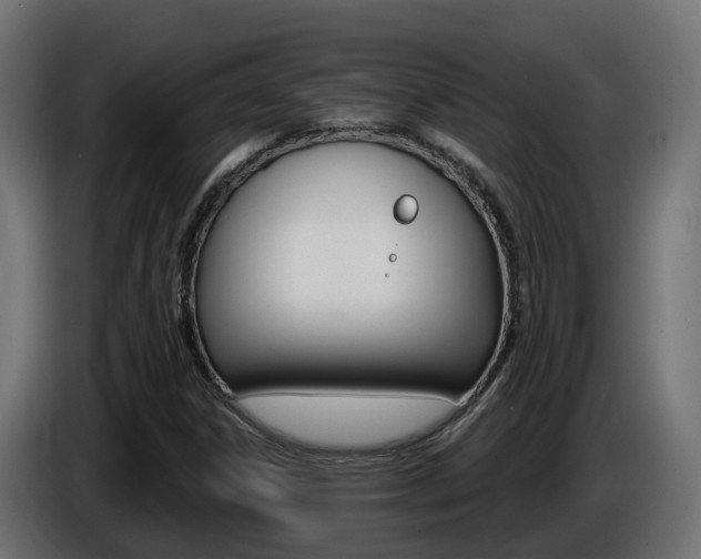 X0000086731306200704130739