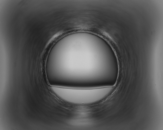 X0000086731307200704130739