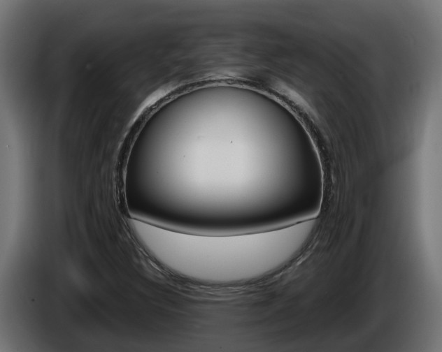 X0000086731308200704130739