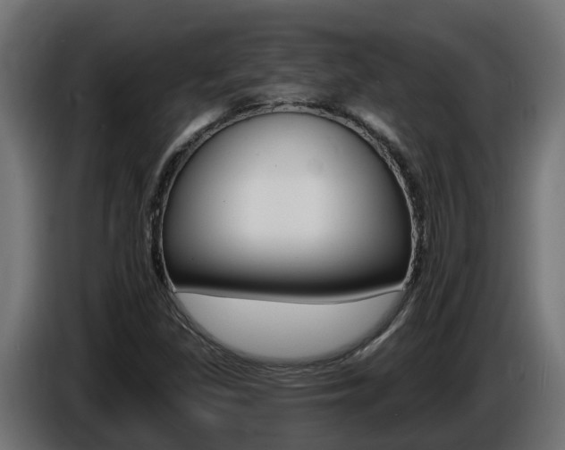 X0000086731309200704130739
