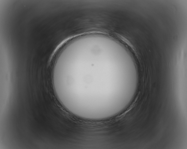 X0000086731310200704130739