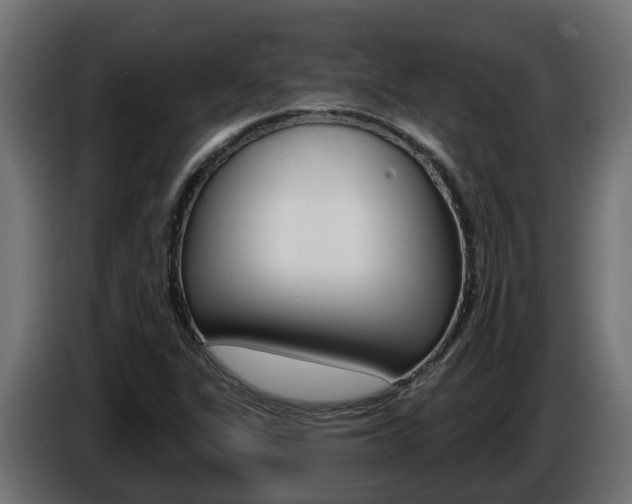 X0000086731311200704130739