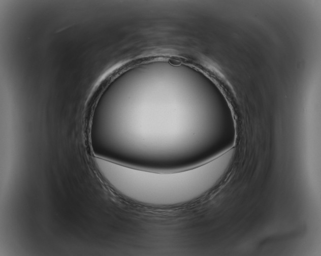 X0000086731312200704130739