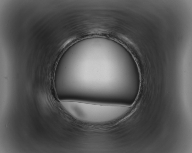 X0000086731313200704130739