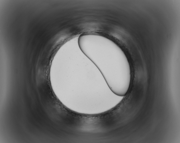 X0000086731314200704130739