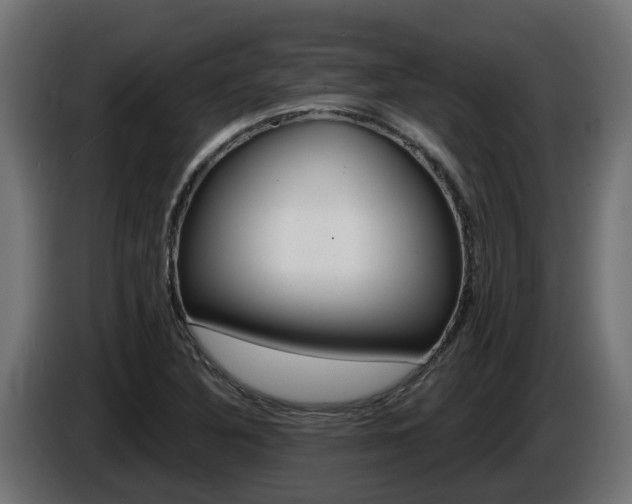 X0000086731316200704130739
