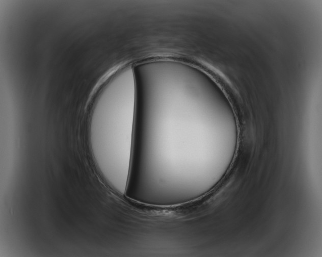 X0000086731317200704130739