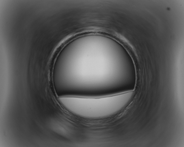 X0000086731318200704130739