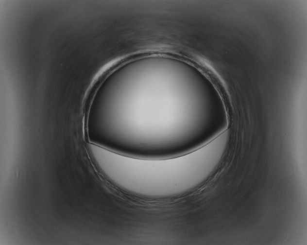 X0000086731320200704130739