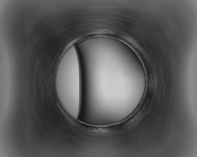 X0000086731321200704130739