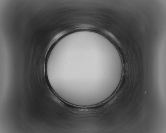 X0000086731322200704130739