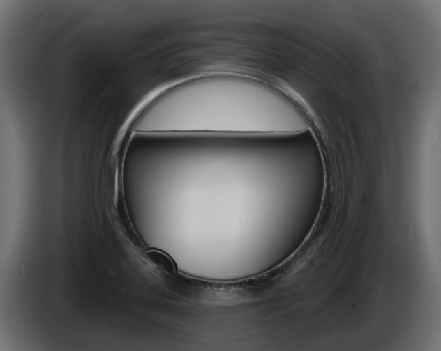 X0000086731323200704130739