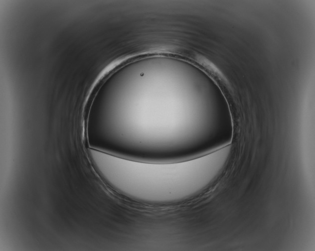 X0000086731324200704130739