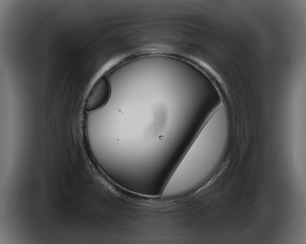 X0000086731325200704130739