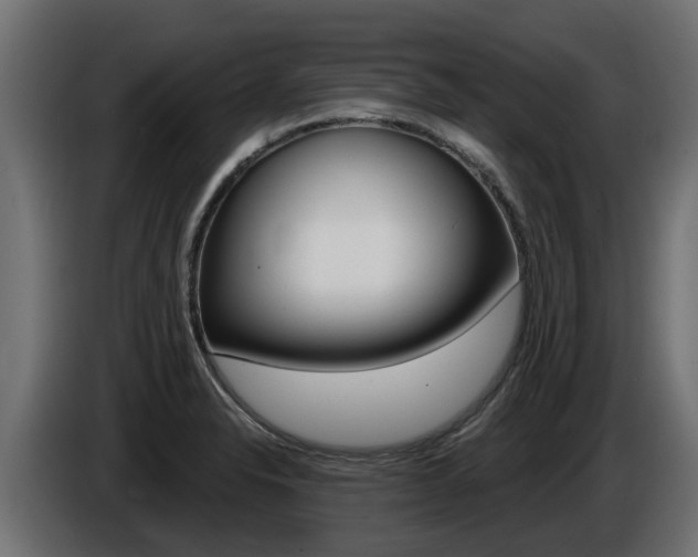 X0000086731326200704130739