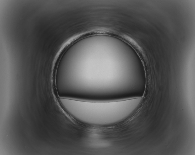 X0000086731327200704130739