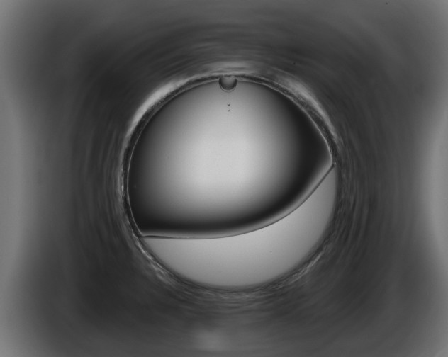 X0000086731328200704130739