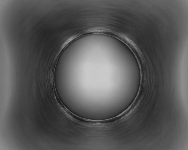 X0000086731329200704130739