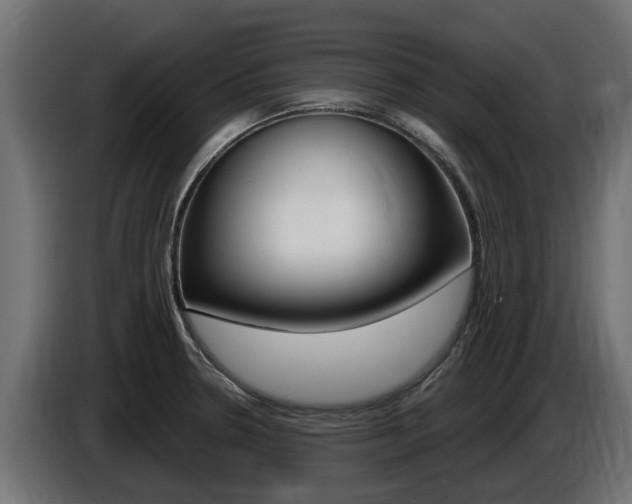 X0000086731330200704130739