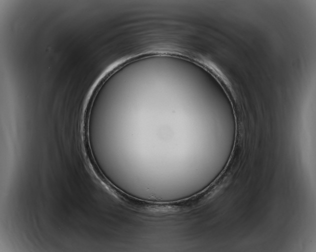 X0000086731331200704130739