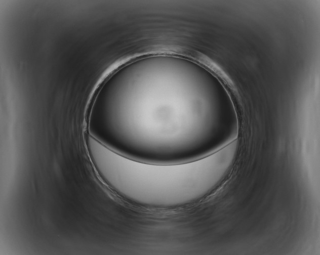 X0000086731332200704130739