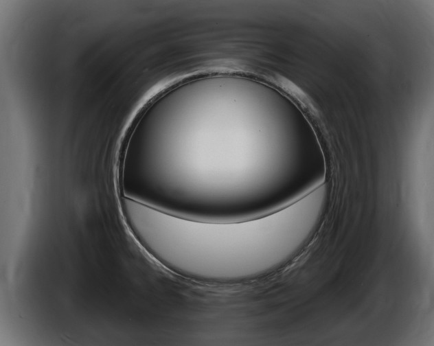 X0000086731334200704130739