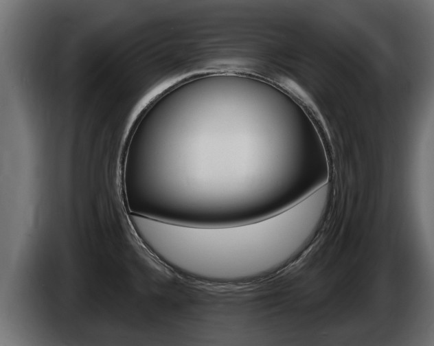 X0000086731336200704130739