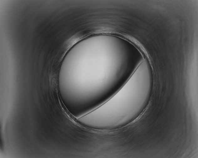 X0000086731337200704130739