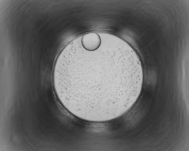 X0000086731338200704130739