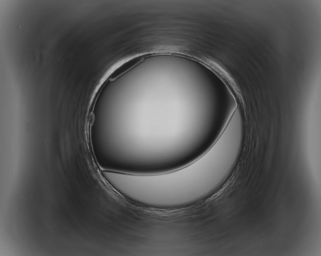 X0000086731340200704130739