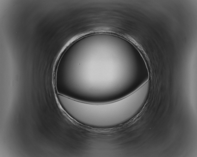 X0000086731342200704130739