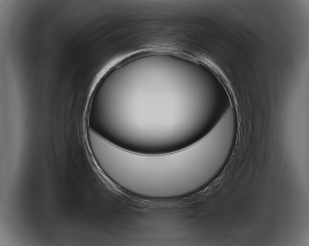 X0000086731344200704130739