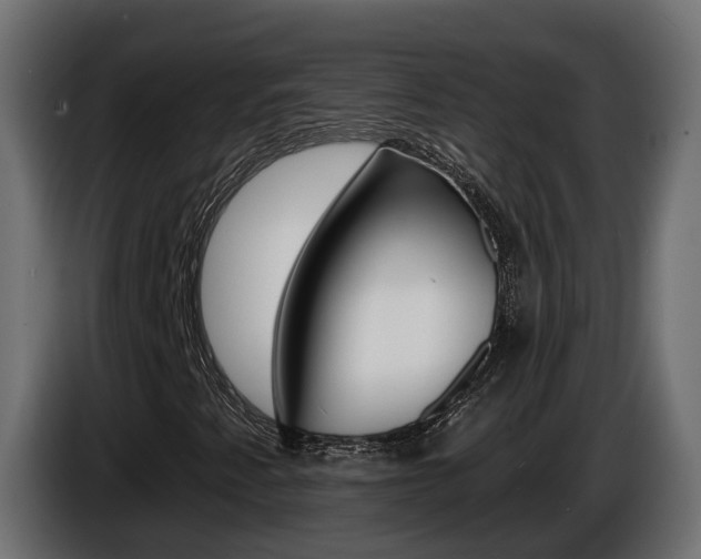 X0000086731345200704130739