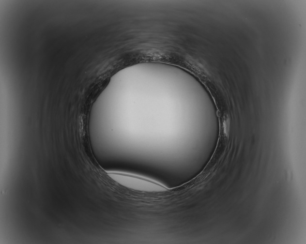 X0000086731347200704130739