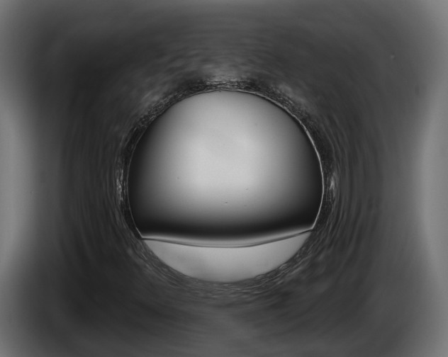 X0000086731348200704130739