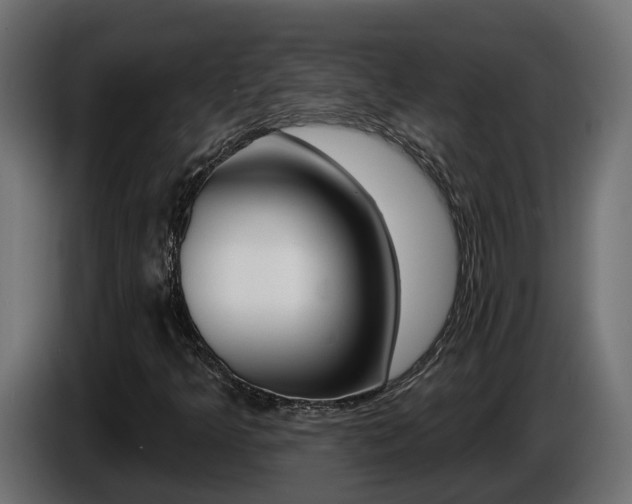 X0000086731349200704130739
