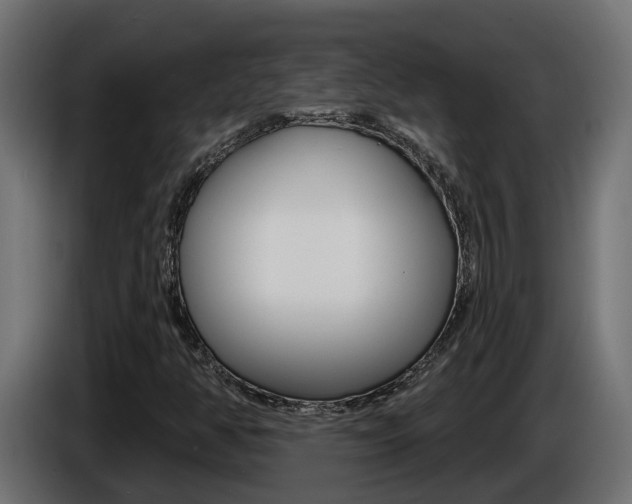 X0000086731350200704130739
